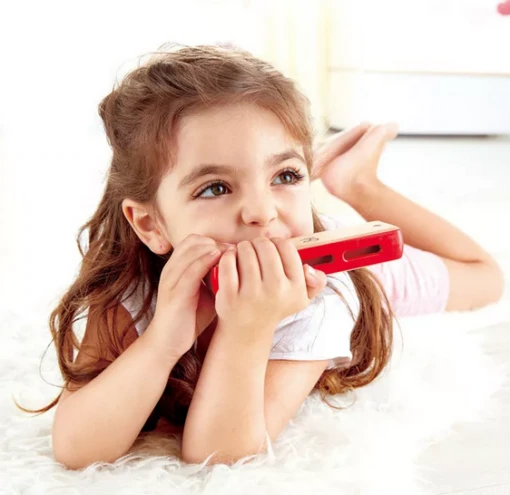 Hape Blues Harmonica -Children Toys Store bluesharmonica