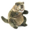 Folkmanis Groundhog Puppet -Children Toys Store folkmanis full body groundhog puppet busybeetoys