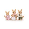 Kangaroo Family -Children Toys Store hkf1