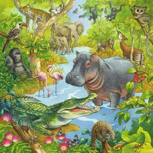 Ravensburger Jungle Fun 3 X 49 Piece Jigsaw Puzzles -Children Toys Store ravensburger jungle fun busybeetoys