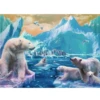 Ravensburger Polar Bear Kingdom 300 Pc Puzzle -Children Toys Store ravensburger polar bear kingdom busybeetoys cdaa2c37 c884 4cd1 be2b 03adc039fdd5