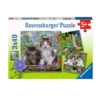 Ravensburger Tiger Kittens 3x49 Pc Puzzle -Children Toys Store ravensburger tiger kittens busybeetoys